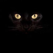 Jan Mather's photo