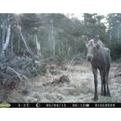 Stan Lundrigans foto