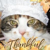 Kim Schroeder's photo