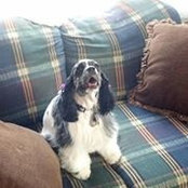 Ellen Runk Shockey's photo