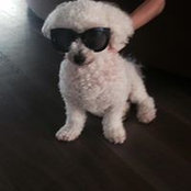 Anna Batista's photo