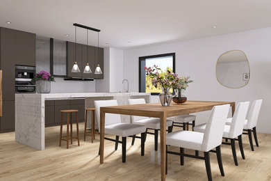 Open Plan Living Room (Kitchen and Dining Areas)
