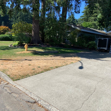 Budget Front Yard in Fircrest