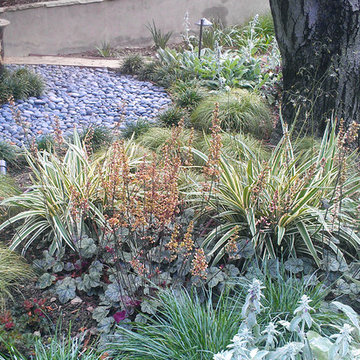 Mystical Habitat Garden