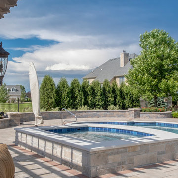 Elgin, IL Roman End Pool with Freeform Hot Tub