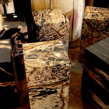 PETRIFIED WOOD END TABLE