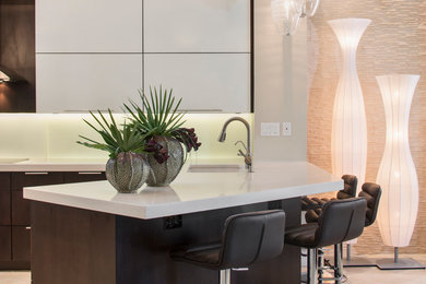 Home design - contemporary home design idea in Miami