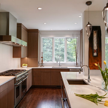 Minimalistic Modern Kitchen Remodel