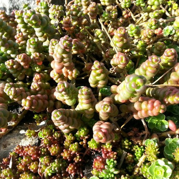 MicroScapeR(sm) Landscape MakeOver Projects