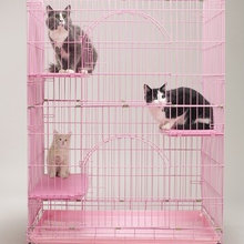 pets