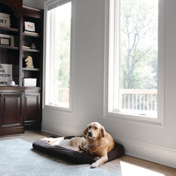 Various Projects - Windows