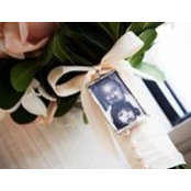 Gina Czech Hedberg's photo
