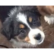 Laura Eliott's photo