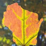 Brian Kelsey's photo