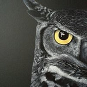 Tina Dodds's photo