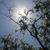 Miri Lim's photo