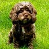 Bridget Mulvaney's photo