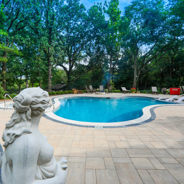Oswego, IL Freeform Pool and Hot Tub