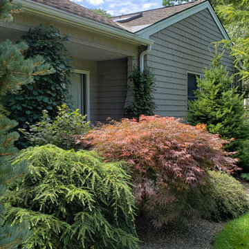 Design around existing trees