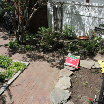 A Brooklyn Yard