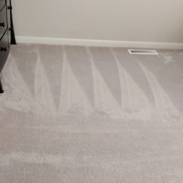 Liliana Cleaning Services