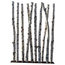 Tall Birch Tree Trunk Screen