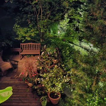 Designer's Residence