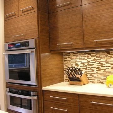 Contemporary Zebrawood Kitchen