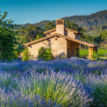 Reimagining Sustainable Land Planning in Napa Valley