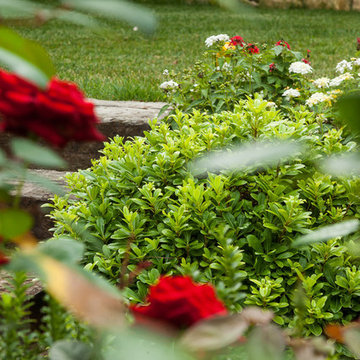 Jardin - Ramatuelle