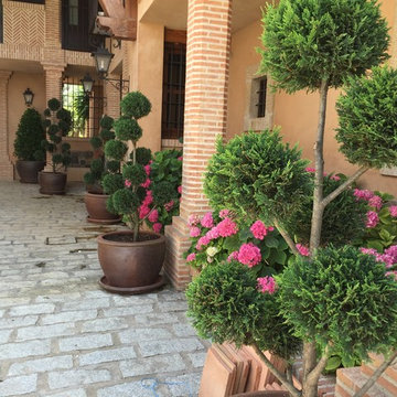 Finca en Toledo