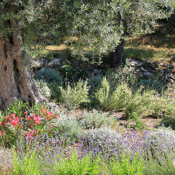 Landscape Designer Cannes | The Scents of Provence