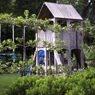 Espalier