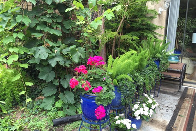 Inspiration for a landscaping in Orange County.