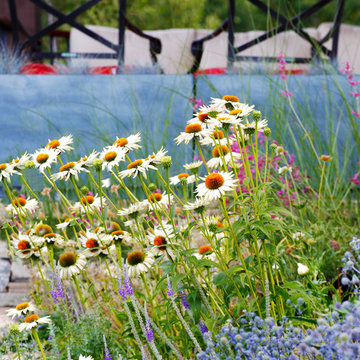 Strawberry Park Landscape