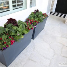 Exterior Ideas