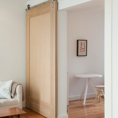 Home design - mid-sized scandinavian home design idea in San Francisco
