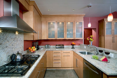 Example of a trendy kitchen design in DC Metro