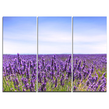 "Close View of Lavender Flower Field" Wall Art, 3 Panels, 36"x28"