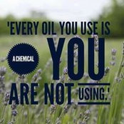Roberta Calabrese Wajrowski's photo
