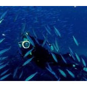 Scuba Instructorさんの写真