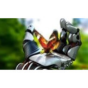 DA Borg's photo