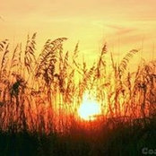 Lorry Anderton's photo