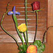 Maureen Johnson's photo