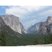 Michelle Betkowski's photo