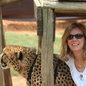 Mary Beth Wellington's photo