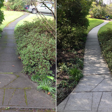 Seattle Power Washing