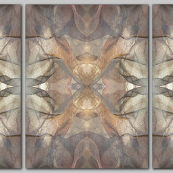 Dance of the Seven Veils Triptych - Home Decor