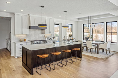 Kitchen - contemporary kitchen idea in Minneapolis