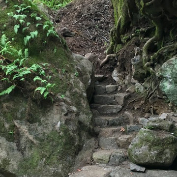 A Creek Runs Through It